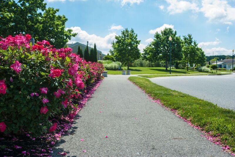 Friends Village at Woodstown Senior Living Community Assisted Living